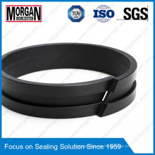 Fi Profile Hydraulic Cylinder Rod Guide Ring/Wear Seal